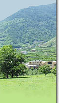 Villa di Tirano